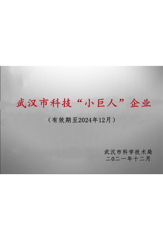 武漢市科技“小巨人”企業(yè) 武漢市科技“小巨人”企業(yè)